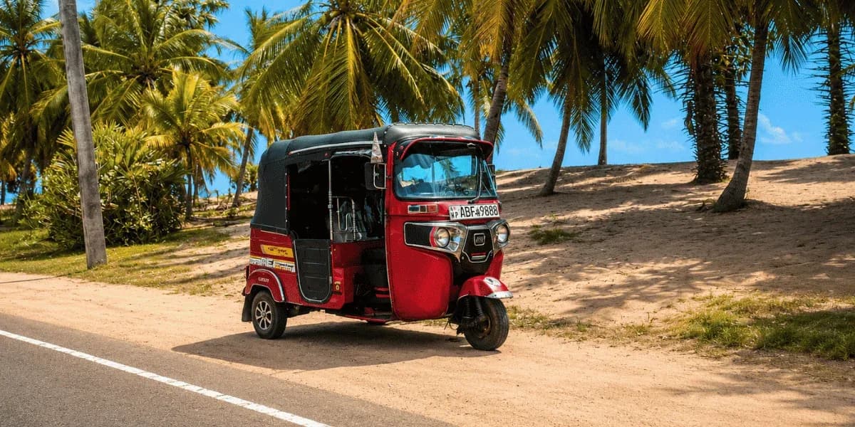 Jaffna & Mannar Travel Guide — Northern Culture, Remote Islands & a Different Side of Sri Lanka