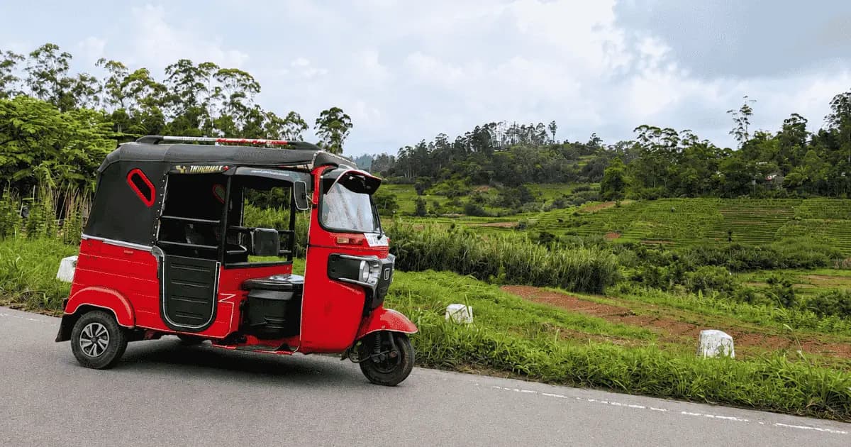 Kandy & Pinnawala — Sri Lanka's Cultural Capital, Elephant Sanctuary & the Gateway to the Hill Country