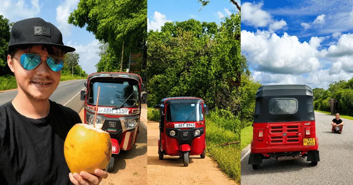 Best Time to Visit Sri Lanka: A Month-by-Month Guide to Beaches, Festivals, Wildlife & Road Trips
