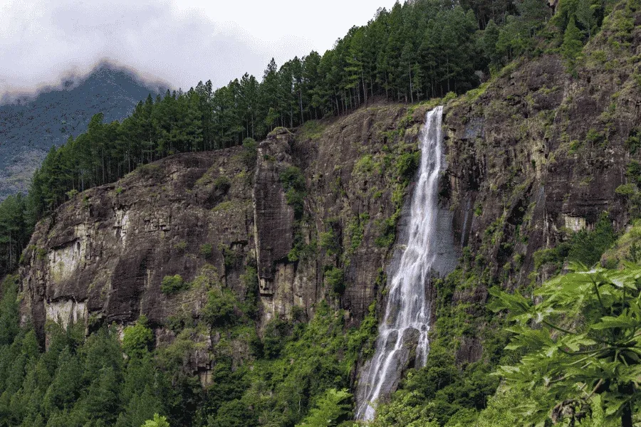 Bambarakanda Falls Sri Lanka's tallest waterfall pine forest mountains