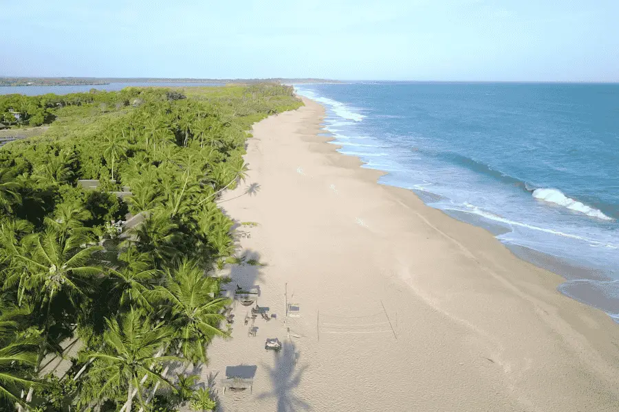 Empty beach at Tangalle on Sri Lanka's southern coast with coconut palms and clear water