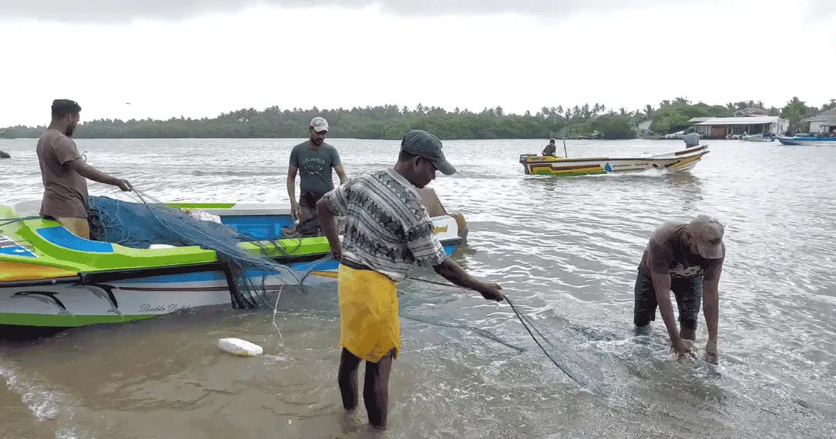 Chilaw fishing village on Sri Lanka's northwestern coast — fishing boats, lagoons and coastal life
