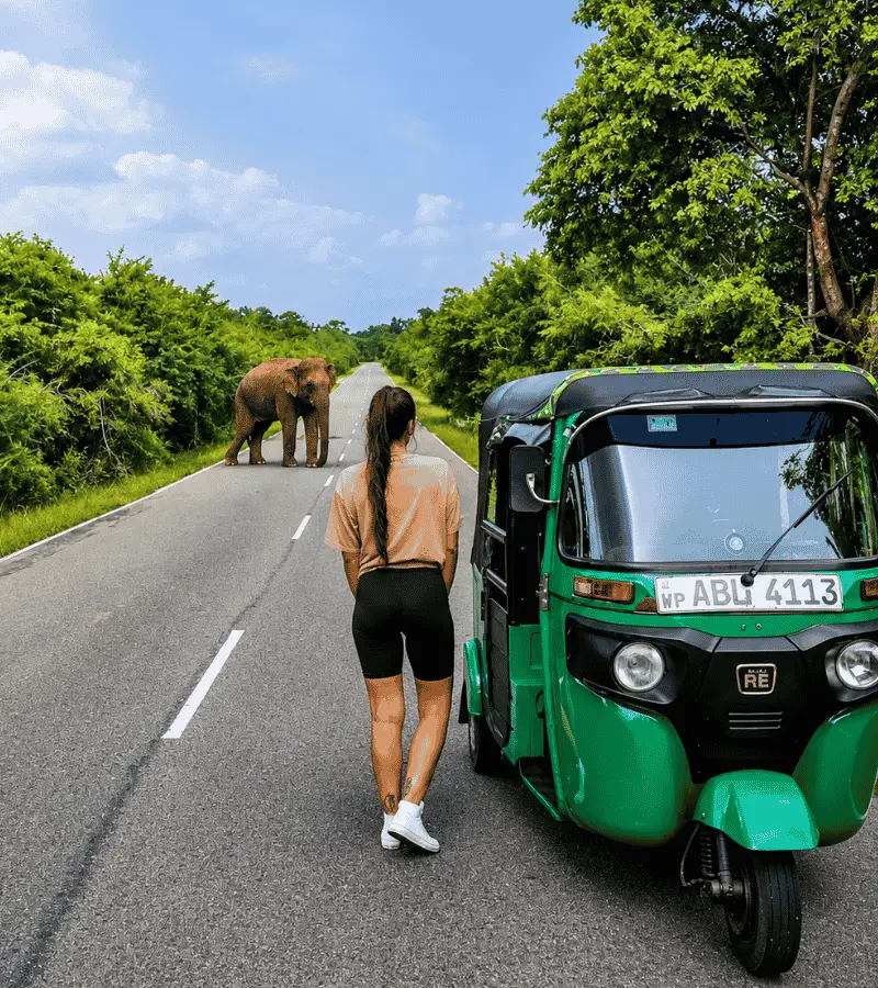 Driving to Yala by tuk tuk — dusty southern Sri Lanka roads approaching Yala National Park wilderness