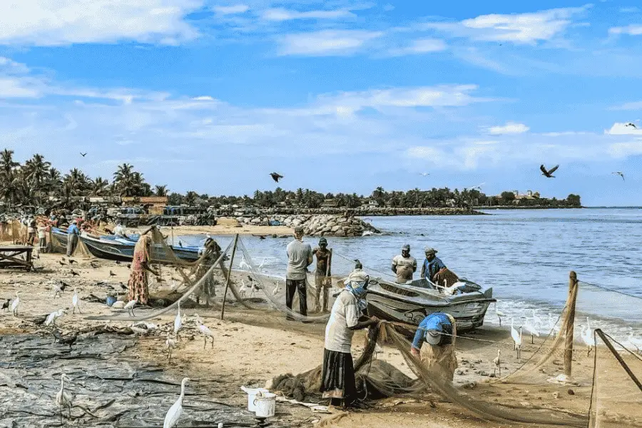 Fishing villages and east coast roads — lagoons, mangroves, and fishing boats on Sri Lanka's eastern coastline
