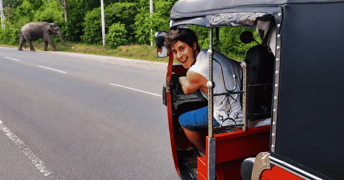 Full Sri Lanka experience by tuk tuk — coastal roads, ancient ruins, tea country and jungle wildlife across the island