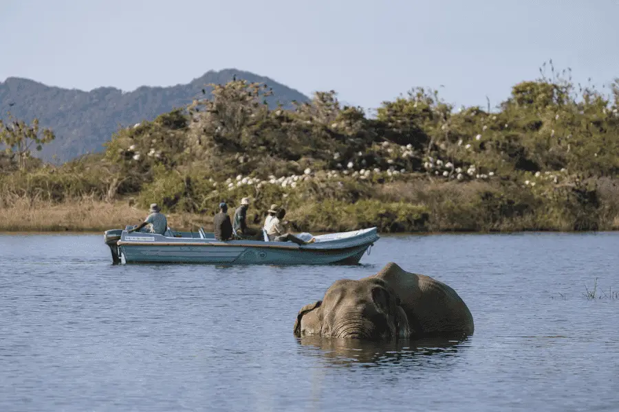 Gal Oya National Park boat safari through Senanayake Samudraya reservoir with forested islands, Sri Lanka