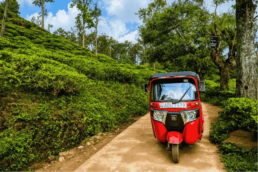 Tuk tuk rental in Haputale, Sri Lanka