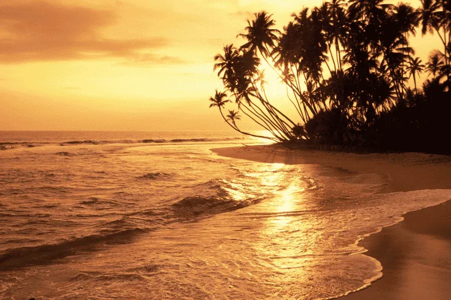 Hikkaduwa beach surf culture coral reefs Sri Lanka