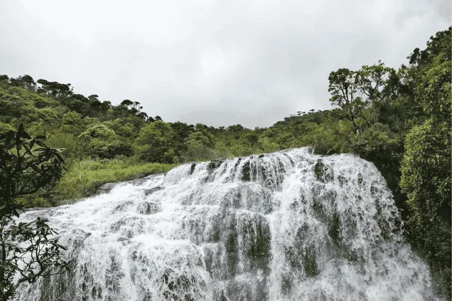 Baker's Falls in Horton Plains National Park — cloud forest waterfall and wildlife in Sri Lanka's UNESCO highland reserve