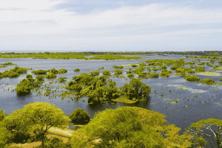 Kumana National Park wildlife and wetlands near Arugam Bay