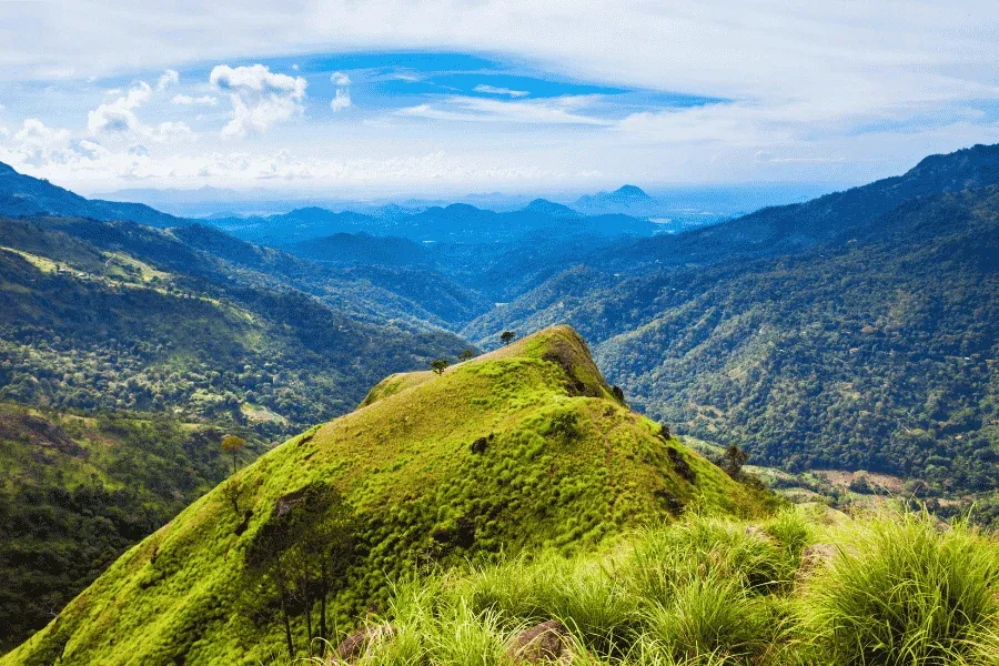 Little Adam's Peak hike Ella tea plantations panoramic views