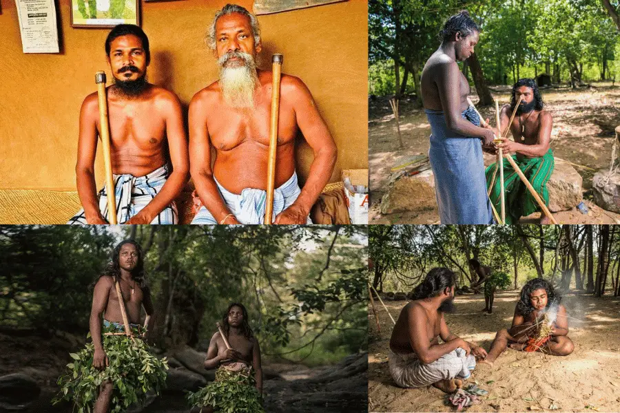 Vedda indigenous culture community near Gal Oya — Sri Lanka's indigenous forest people and their traditions