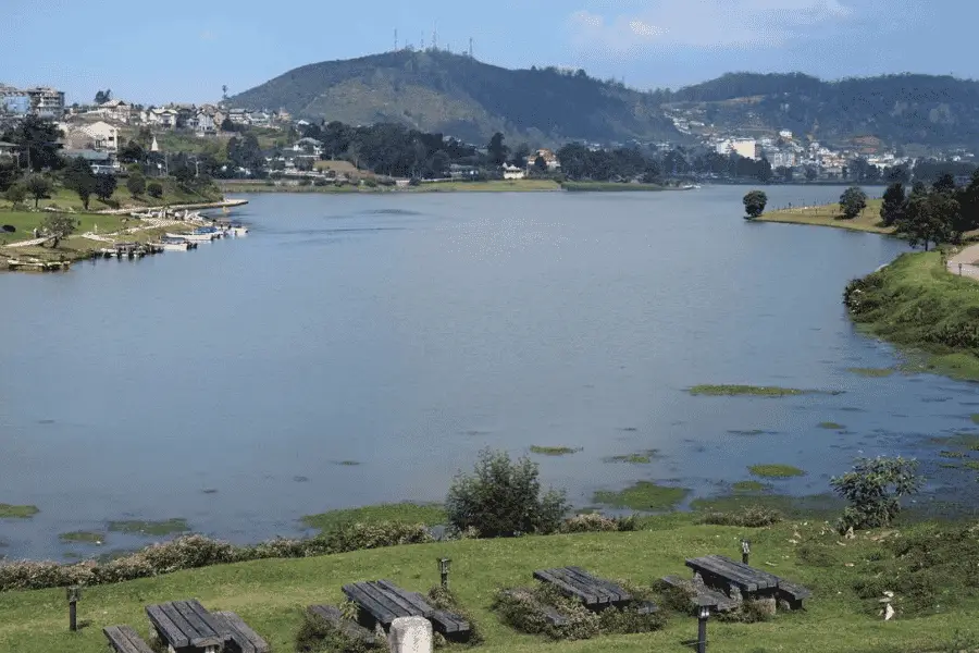 Gregory Lake Nuwara Eliya — pine trees, cold mountain air, and colonial-era lakeside scenery in Sri Lanka