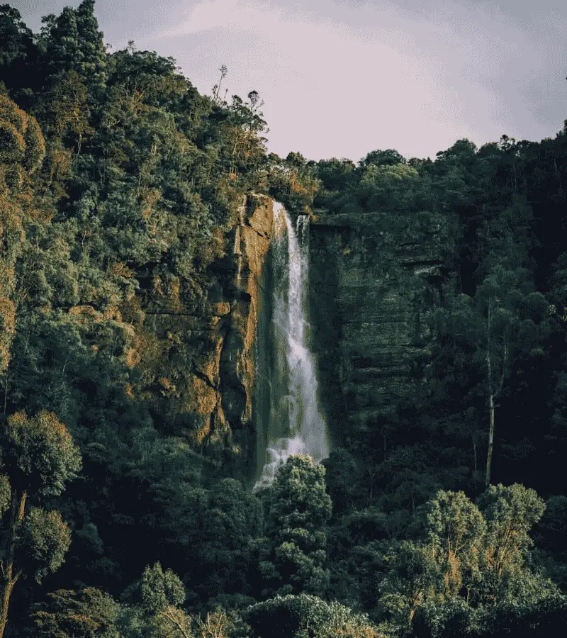 Lover's Leap Falls near Pedro Tea Estate, Nuwara Eliya, Sri Lanka