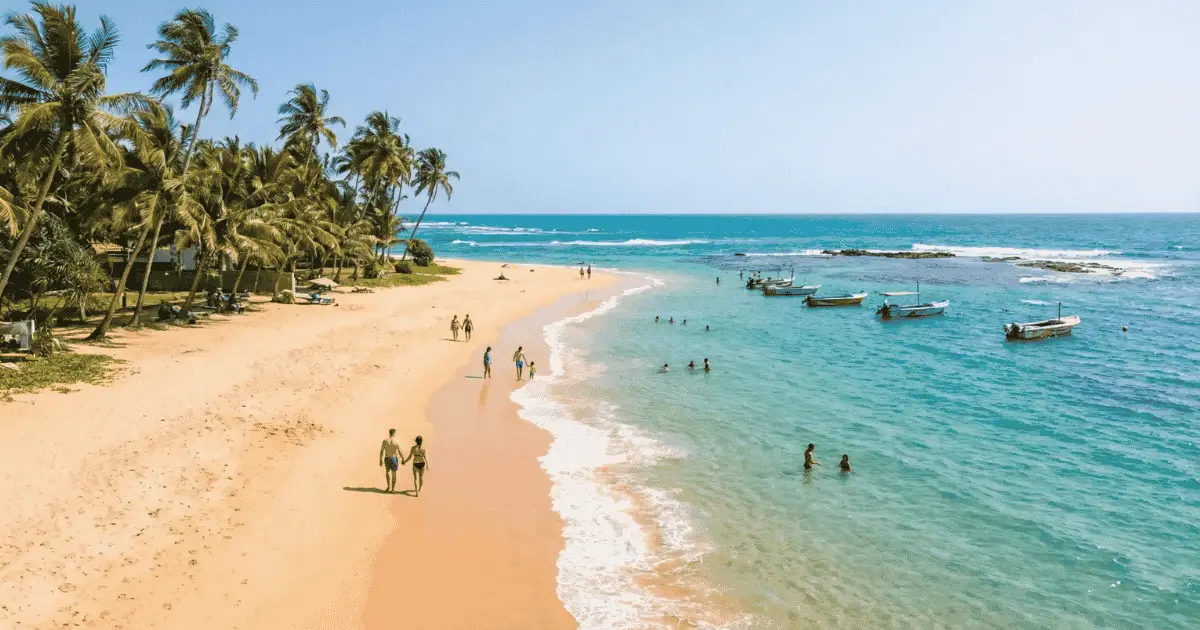 Southern coastline Sri Lanka — palm-lined beaches, surf towns and tropical scenery along the south coast
