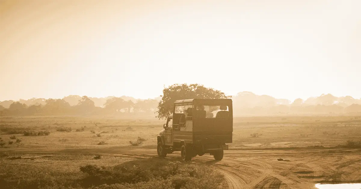 Sunrise at Yala National Park — golden morning light across dry-zone forests and open grasslands