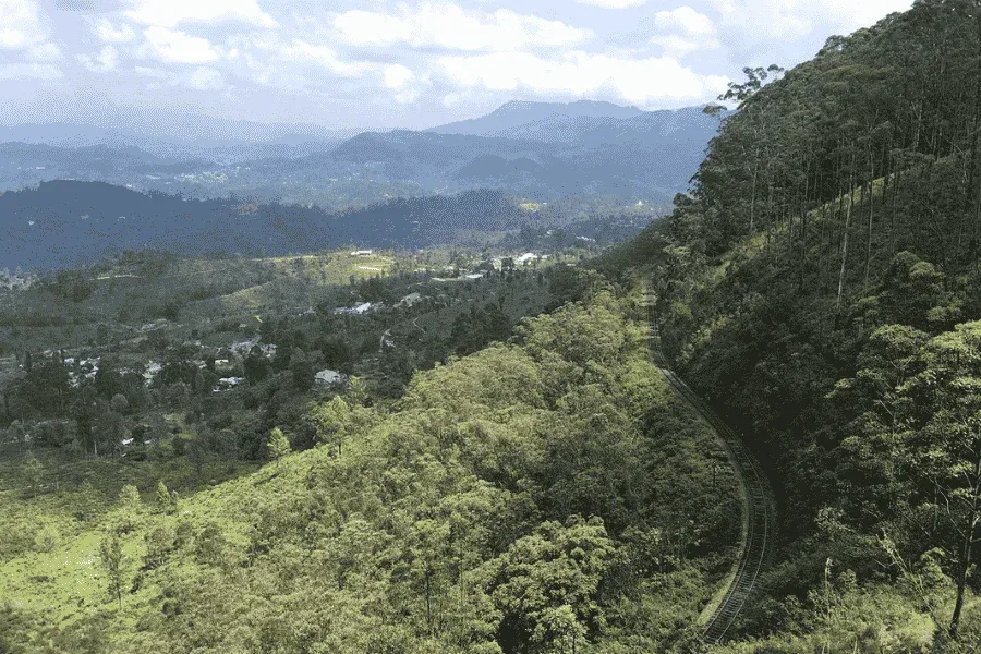 Thangamale cloud forest sanctuary Haputale endemic birdlife Sri Lanka