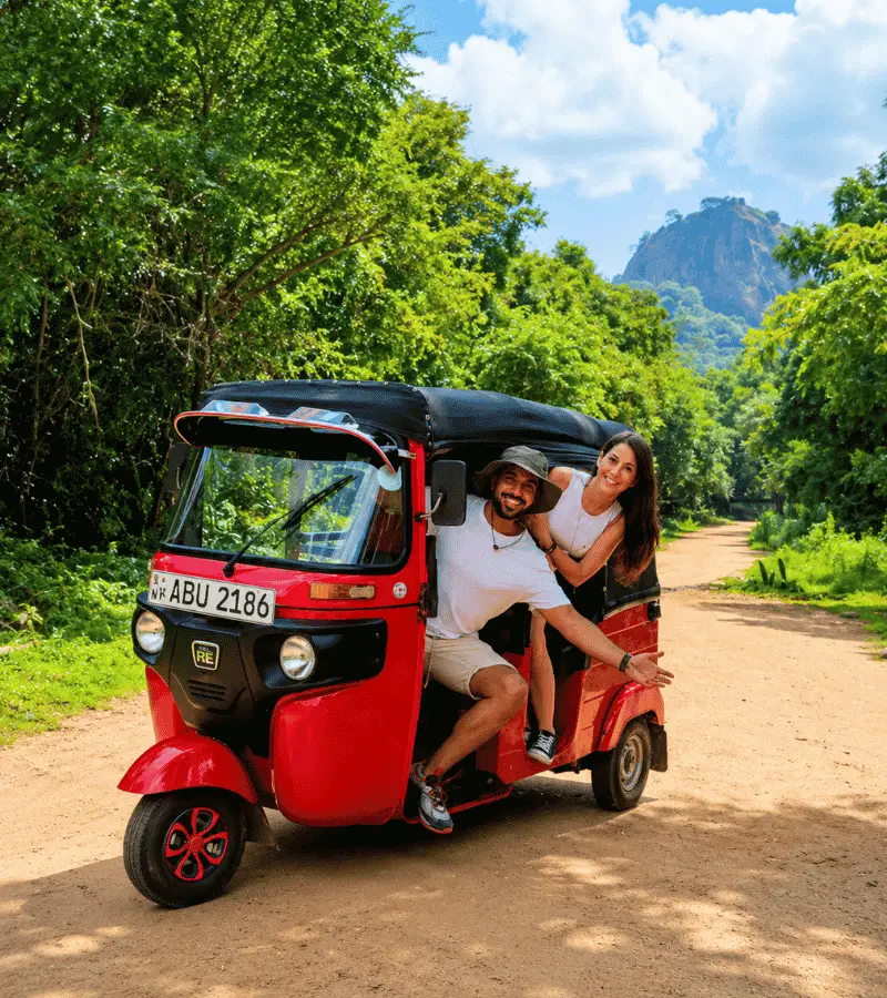 Countryside roads around Sigiriya — rice fields, forests and village scenery in Sri Lanka
