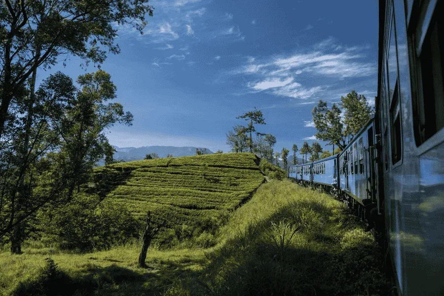 Scenic hill-country train journey through tea plantations Ella