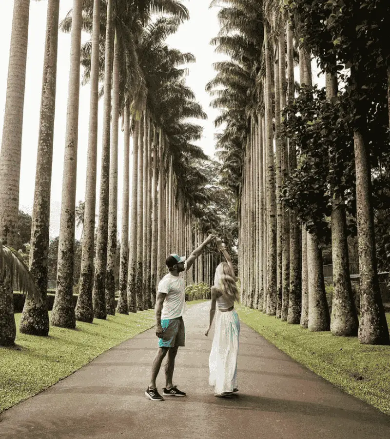 Royal Botanical Gardens in Peradeniya near Kandy, Sri Lanka — palm avenue and tropical trees