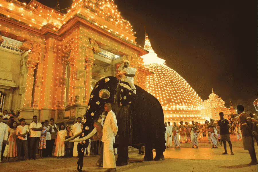 Duruthu Poya Festival at Kelaniya Raja Maha Vihara near Colombo — one of Sri Lanka's first major Buddhist processions of the year