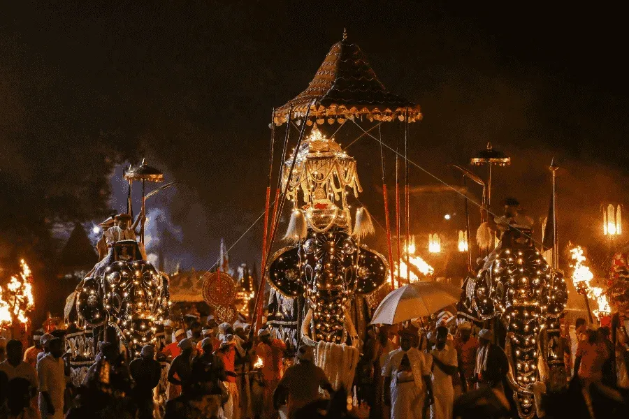 Kandy Esala Perahera night procession with torches and dancers