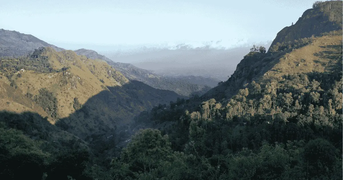 The A4 Ella Gap road winding through tea plantations and misty mountain valleys in Sri Lanka