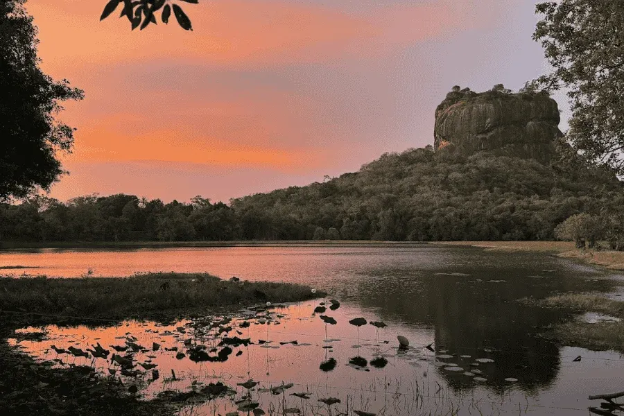 Sigiriya rock fortress rising above the jungle, Sri Lanka