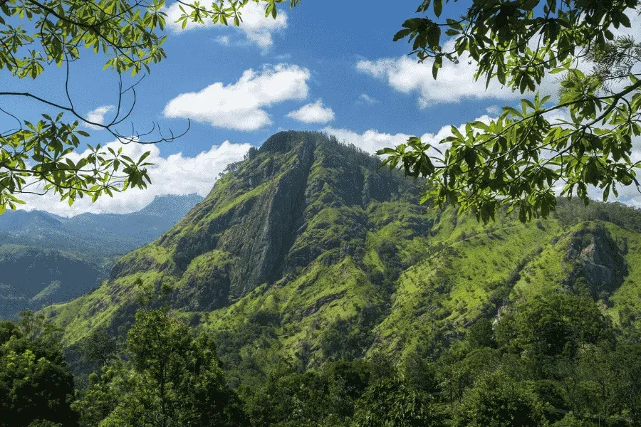 Ella hill country tea plantations and mist, Sri Lanka